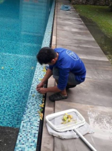ดูแลสระว่ายน้ำ2_0